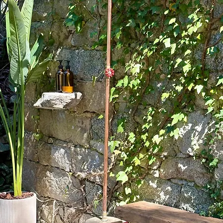 Housica & Co 2