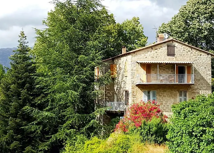 Daire Housica & Co 2